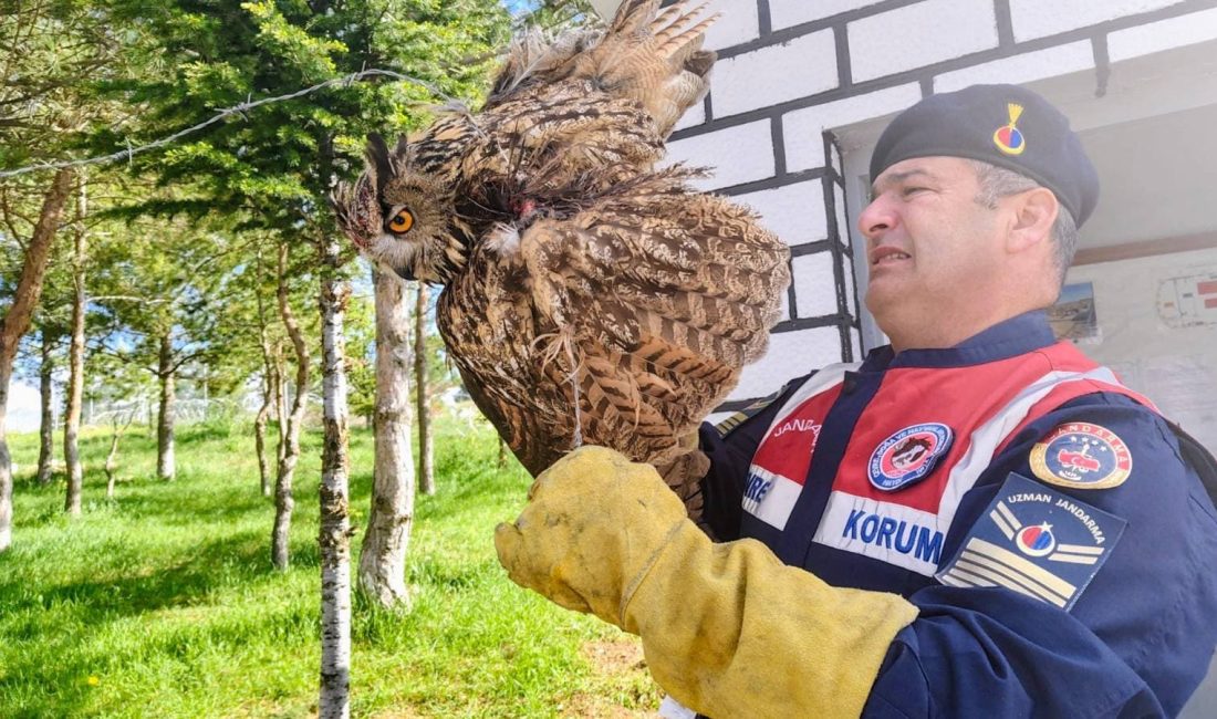 Yozgat’ın Çekerek ilçesinde devriye görevi yürüten jandarma ekipleri, dikenli tellere
