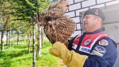 Yozgat’ın Çekerek ilçesinde devriye görevi yürüten jandarma ekipleri, dikenli tellere