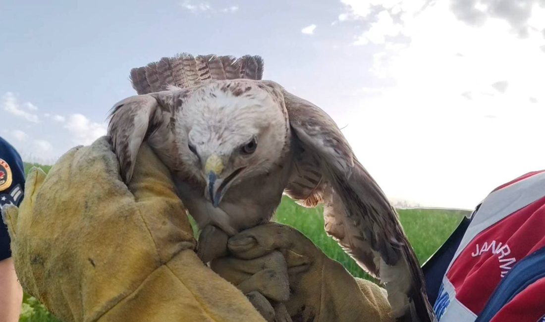 Yozgat İl Jandarma Komutanlığı’na bağlı Sorgun İlçe Jandarma Komutanlığı ekipleri,