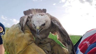 Yozgat İl Jandarma Komutanlığı’na bağlı Sorgun İlçe Jandarma Komutanlığı ekipleri,