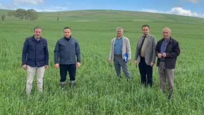 Yozgat’ta etkili olan dolu yağışı, özellikle arpa ve buğday ekili