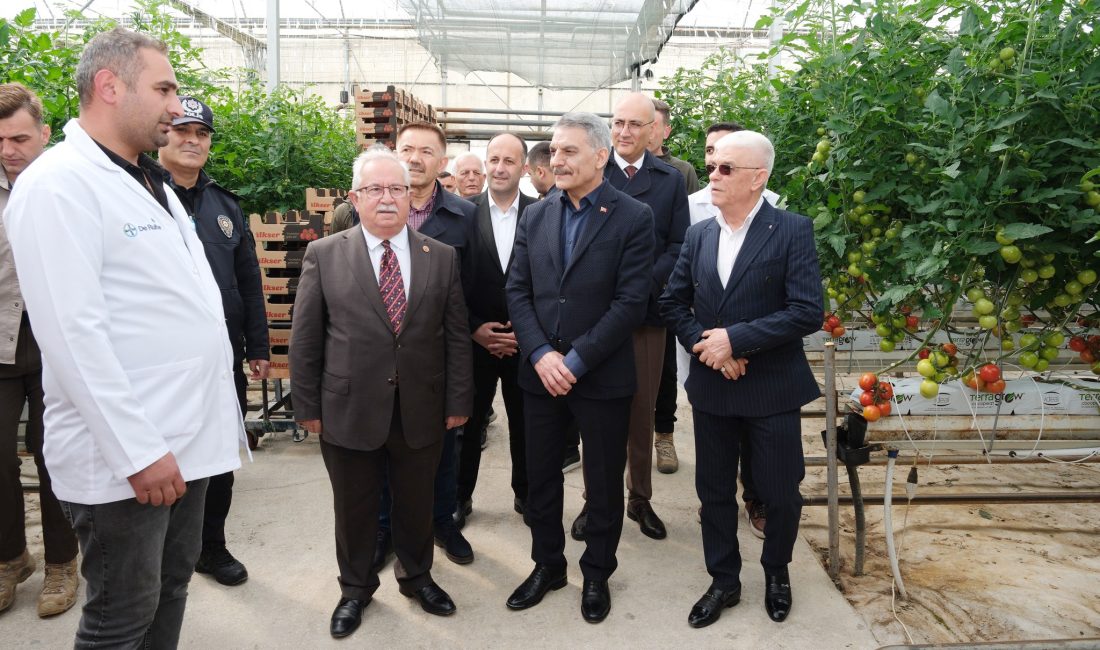 Yozgat’ın jeotermal potansiyeli tarım sektörüne büyük katkı sağlıyor. Sorgun ilçesinde