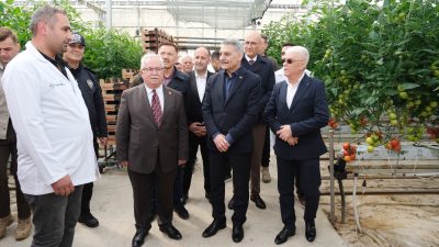 Yozgat’ın jeotermal potansiyeli tarım sektörüne büyük katkı sağlıyor. Sorgun ilçesinde