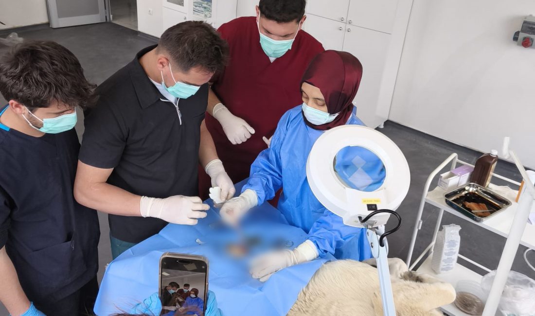 Yozgat Bozok  Üniversitesi ile Yozgat Valiliği İl Özel İdaresi