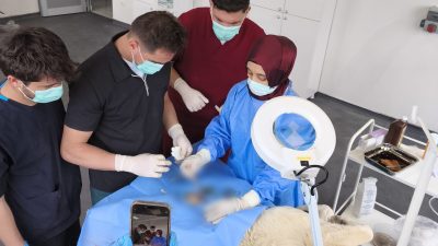 Yozgat Bozok  Üniversitesi ile Yozgat Valiliği İl Özel İdaresi