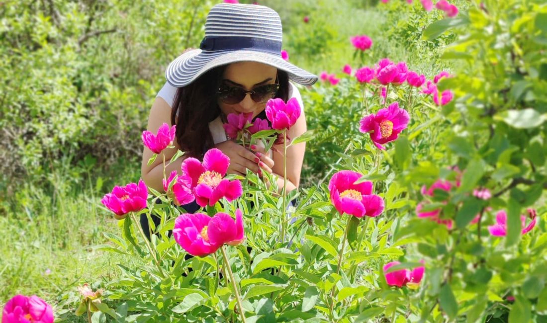 Yozgat Kültürel Değerleri Koruma Tanıtım ve Sanat Derneği (YODES), Yozgat’ın