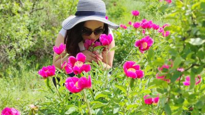 Yozgat Kültürel Değerleri Koruma Tanıtım ve Sanat Derneği (YODES), Yozgat’ın