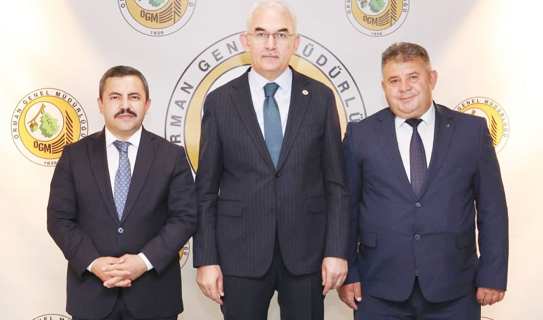 Akdağmadeni Belediyesi tarafından hazırlanan ve ilçenin turizm potansiyelini artırmayı hedefleyen