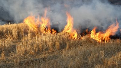Yozgat’ta hububat hasadının ardından bazı çiftçilerin kolay sürüm amacıyla anızları