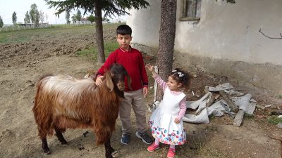 Sorgun ilçesine bağlı Dişli Köyü'nde yaşayan 11 yaşındaki Emir Ali