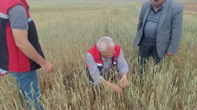 Yozgat’ta etkili olan sağanak yağış ve dolu, başta Merkez ilçe