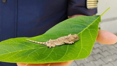 Yozgat İl Jandarma Komutanlığı Çevre, Doğa ve Hayvanları Koruma Timi