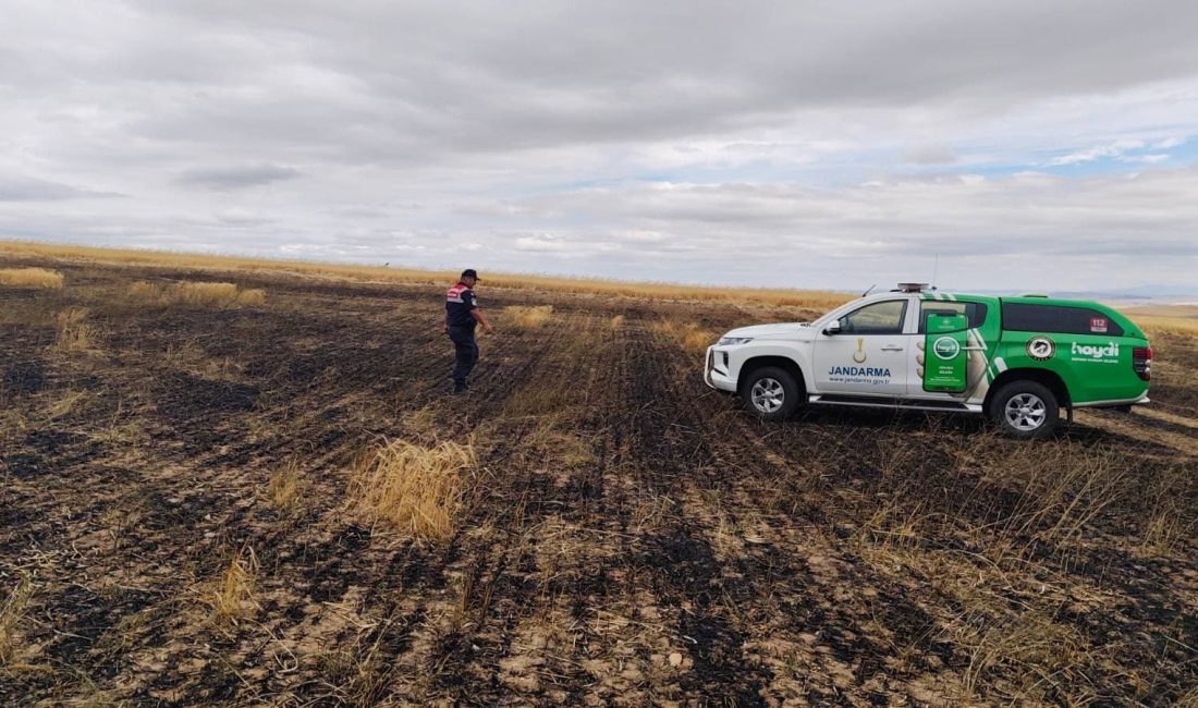Yozgat İl Jandarma Komutanlığı’na bağlı Çevre, Doğa ve Hayvanları Koruma