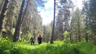 Yozgat İl Jandarma Komutanlığı’na bağlı Çevre, Doğa ve Hayvanları Koruma