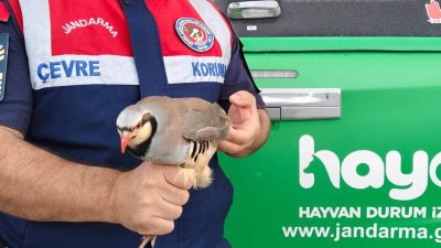 Yozgat İl Jandarma Komutanlığı’na bağlı Çevre, Doğa ve Hayvanları Koruma