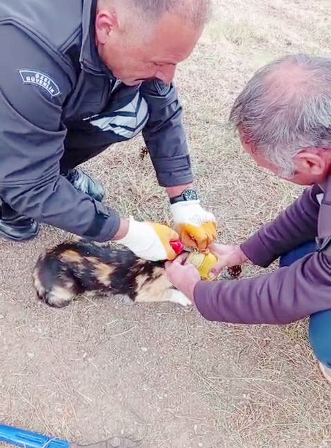 Gençlik ve Spor Bakanlığı Kredi Yurtlar Kurumu (KYK) Yozgat Esentepe