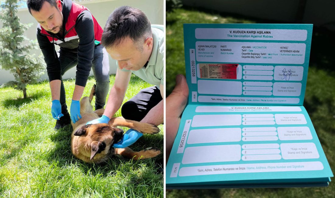 Saraykent Kaymakamı Mete Öztürk, evcil hayvanların kayıt altına alınmasının önemine