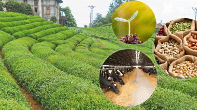 Tarım ve Orman Bakanı İbrahim Yumaklı, çiftçilere yönelik 5 milyar