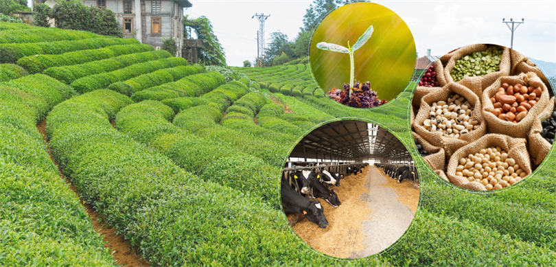 Tarım ve Orman Bakanı İbrahim Yumaklı, çiftçilere yönelik 5 milyar