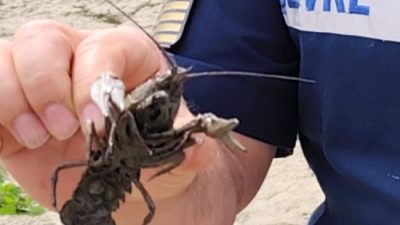 1380 Sayılı Su Ürünleri Kanunu kapsamında, Yozgat genelinde baraj, göl