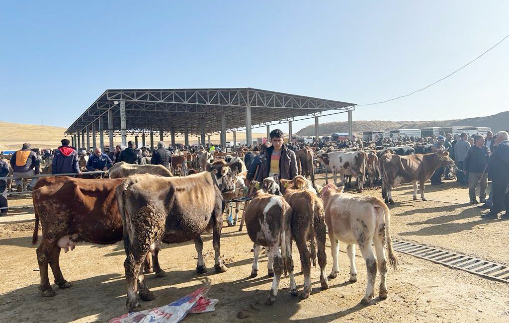 Yozgat İl genelinde, çevre illerde ortaya çıkan yeni tip şap