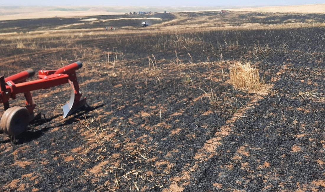 Yozgat’ta dikkatsizlik sonucu çıkan yangın, çiftçilerin bir yıllık emeğini yok