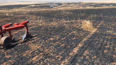 Yozgat’ta dikkatsizlik sonucu çıkan yangın, çiftçilerin bir yıllık emeğini yok