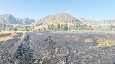 Yozgat’ın Aydıncık ilçesine bağlı Kazankaya köyünde çıkan yangında 20 dönüm