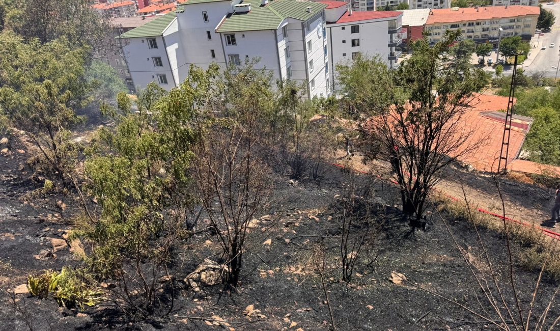 Yozgat’ta sebebi henüz belirlenemeyen bir nedenle çıkan yangın, Yozgat Belediyesi