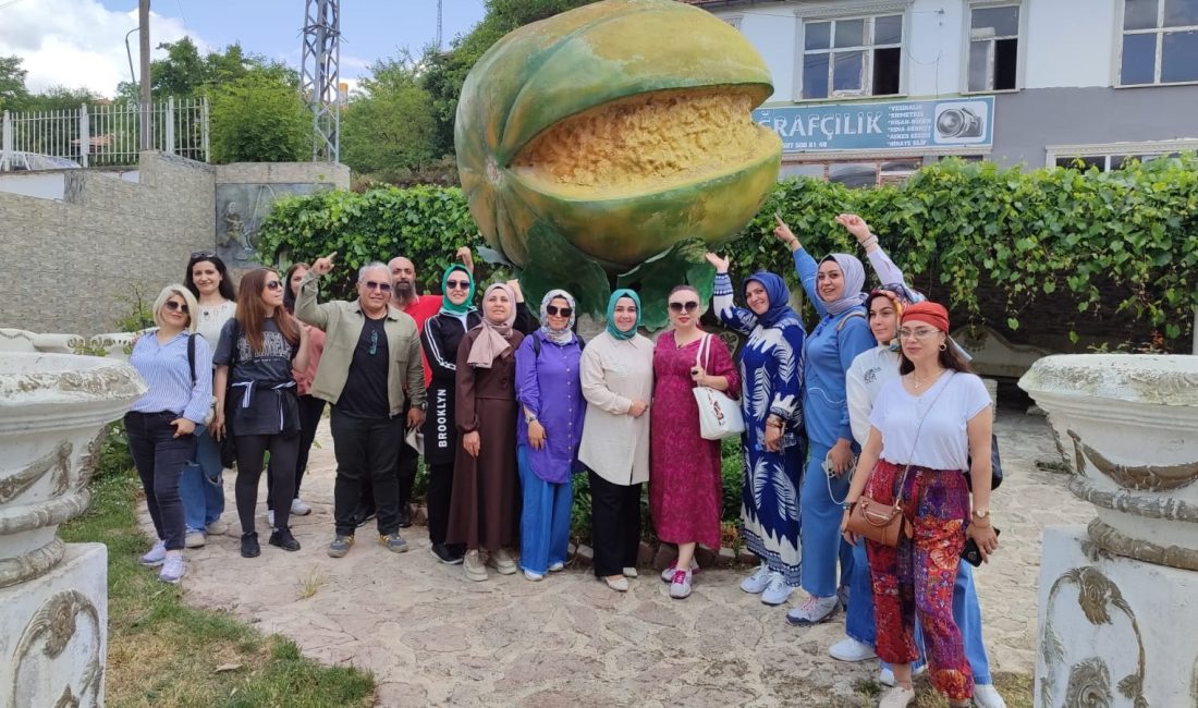 Yozgat Kültürel Değerleri Koruma Tanıtım ve Sanat Derneği (YODES), kültürel