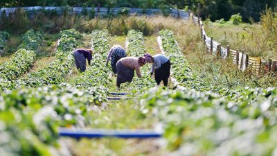Anahtar Parti Yozgat İl Başkanı Av. Olgun Sadık Karaca, Türkiye'nin
