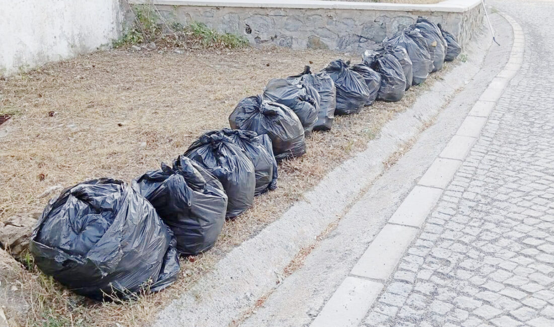 Yozgat Belediye Başkanı Kazım Arslan, Çamlık Milli Parkı’nda belediye ekipleri
