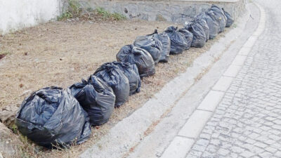 Yozgat Belediye Başkanı Kazım Arslan, Çamlık Milli Parkı’nda belediye ekipleri