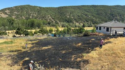 Çayıralan ilçesine bağlı Yukarıyahyasaray köyünde, A.E. isimli vatandaşa ait ekili