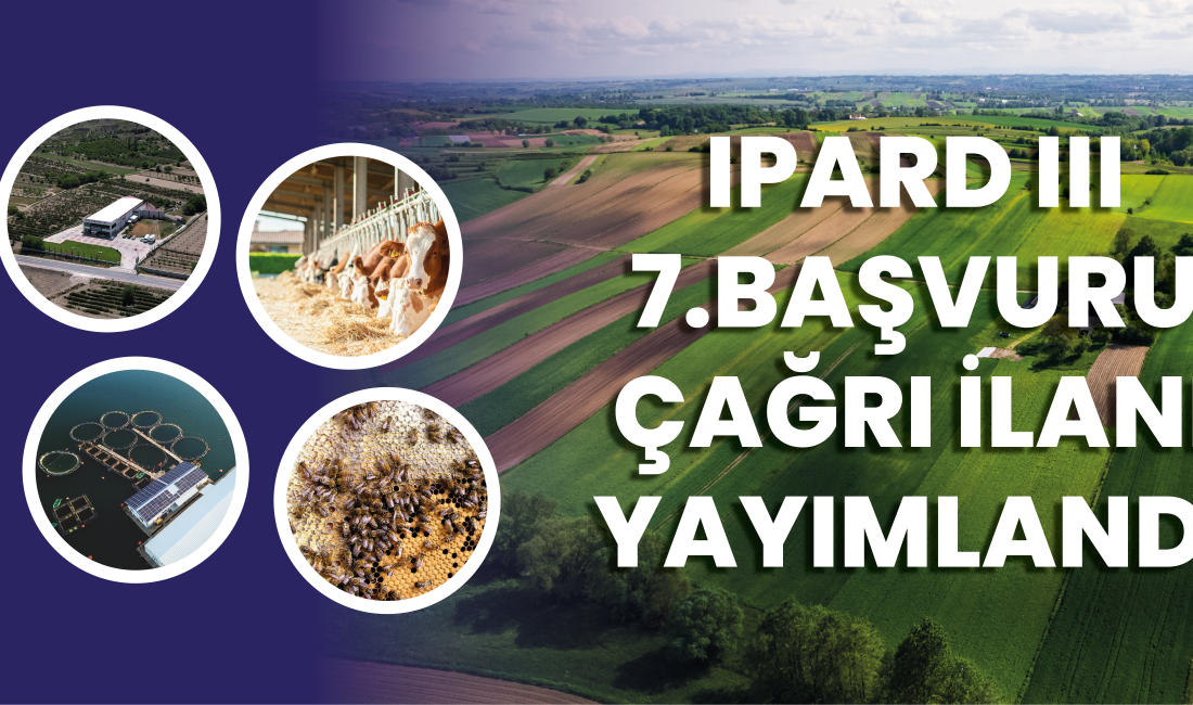 Tarım ve Kırsal Kalkınmayı Destekleme Kurumu (TKDK), IPARD III Programı