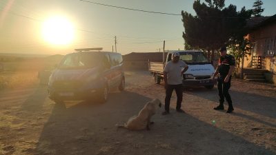 Boğazlıyan ilçesine bağlı Yenipazar Beldesi’nde, başıboş bir köpek 8 yaşındaki