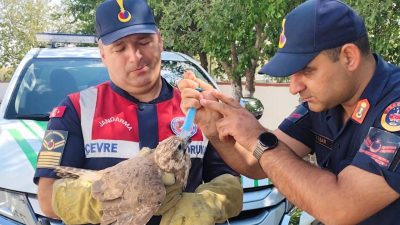Yozgat İl Jandarma Komutanlığı’na bağlı Çevre, Doğa ve Hayvanları Koruma