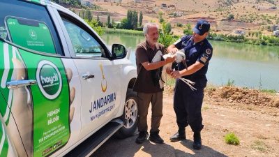Yozgat İl Jandarma Komutanlığı'na bağlı Çevre, Doğa ve Hayvan Koruma