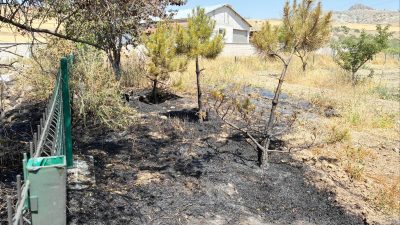 Kadışehri ilçesine bağlı Yoncalık Mahallesi’nde, 12 Temmuz 2025 Cumartesi günü