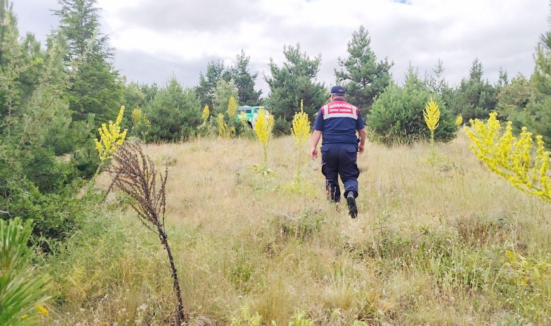 Yozgat İl Jandarma Komutanlığı ekipleri, yaz mevsiminin getirdiği yüksek sıcaklıklar