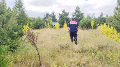 Yozgat İl Jandarma Komutanlığı ekipleri, yaz mevsiminin getirdiği yüksek sıcaklıklar