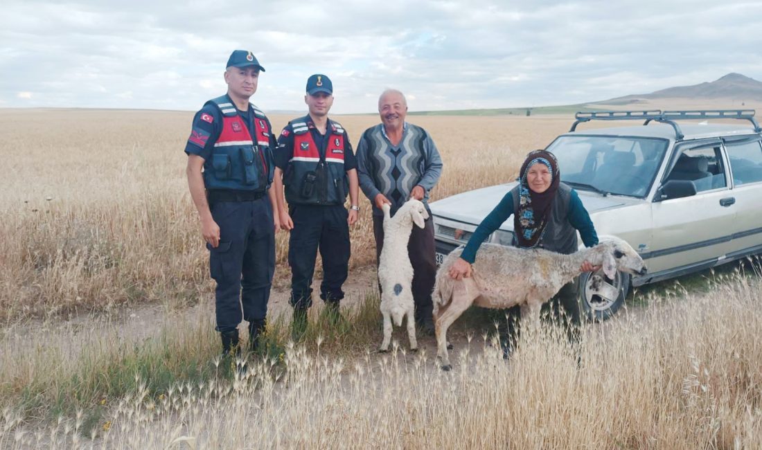 Yozgat İl Jandarma Komutanlığı’na bağlı Sorgun İlçe Jandarma Komutanlığı Karaveli