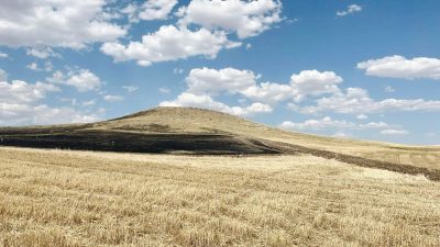 Çayıralan ilçesine bağlı Fahralı Köyü'nde meydana gelen olayda, kökü çürümüş