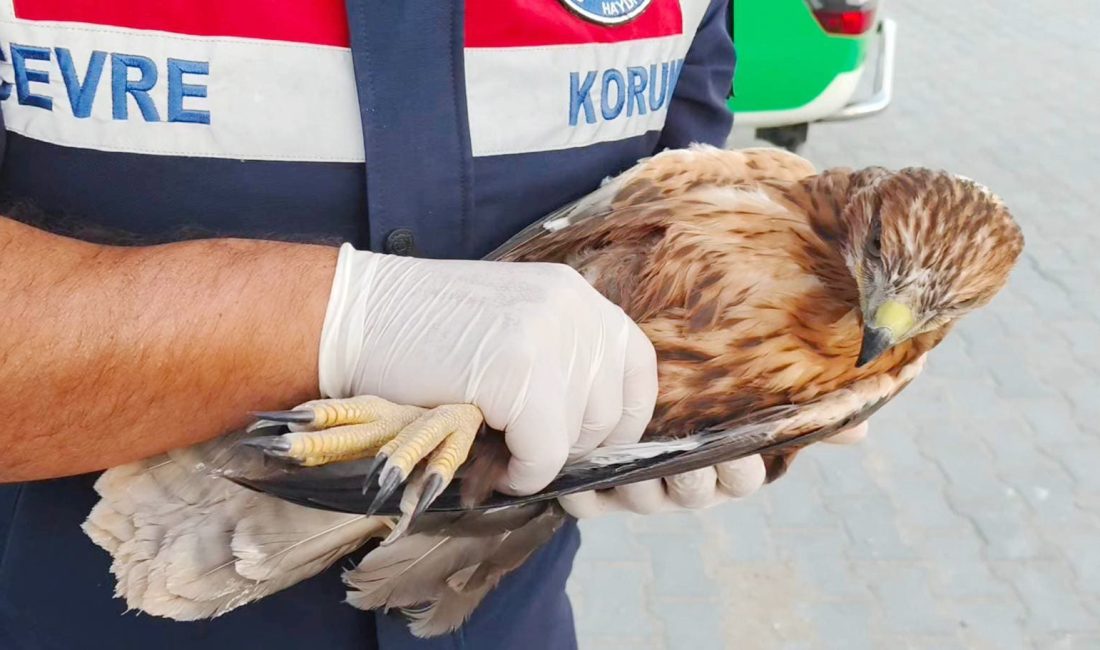 Yozgat İl Jandarma Komutanlığı, çevre ve doğa koruma çalışmalarına yönelik