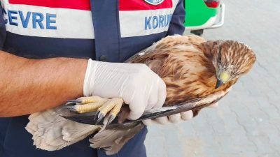 Yozgat İl Jandarma Komutanlığı, çevre ve doğa koruma çalışmalarına yönelik