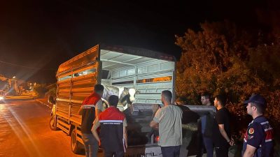 Çayıralan ilçesinde, şap hastalığı nedeniyle karantina altına alınan bölgeden yasa