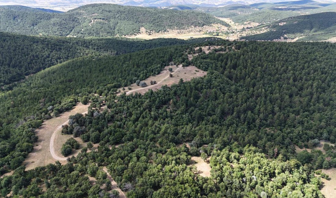 Yozgat İl Jandarma Komutanlığı’na bağlı Çekerek İlçe Jandarma Komutanlığı Asayiş