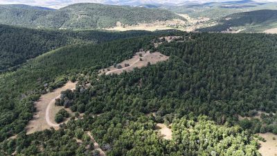 Yozgat İl Jandarma Komutanlığı’na bağlı Çekerek İlçe Jandarma Komutanlığı Asayiş