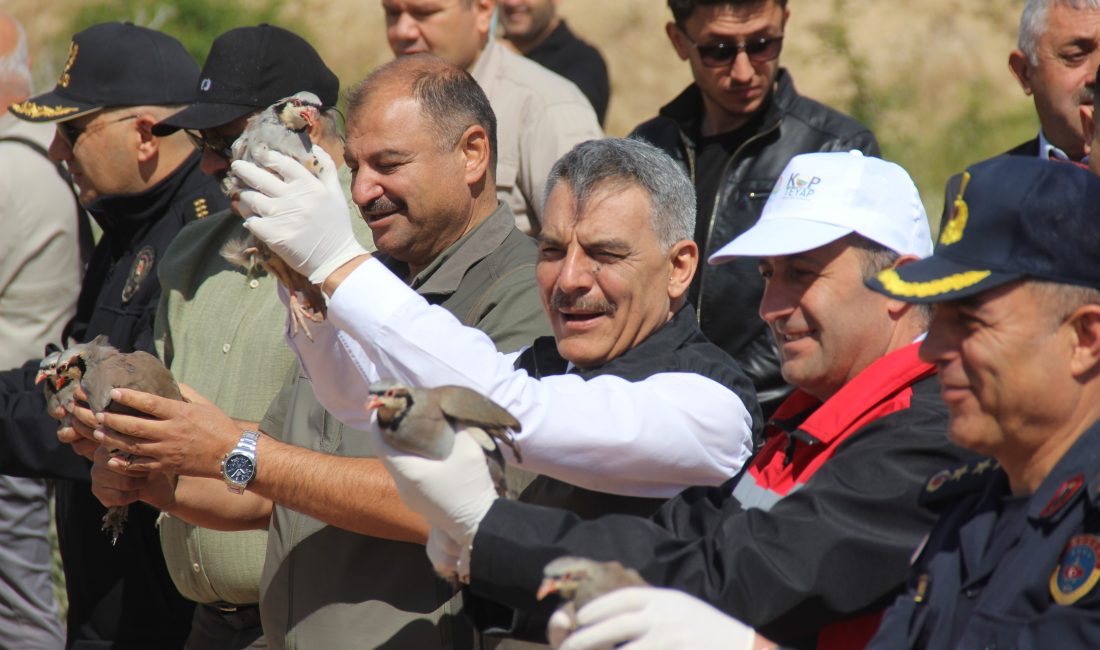 Yozgat’ta Doğa Koruma ve Milli Parklar Şube Müdürlüğü tarafından yetiştirilen