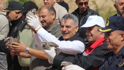 Yozgat’ta Doğa Koruma ve Milli Parklar Şube Müdürlüğü tarafından yetiştirilen